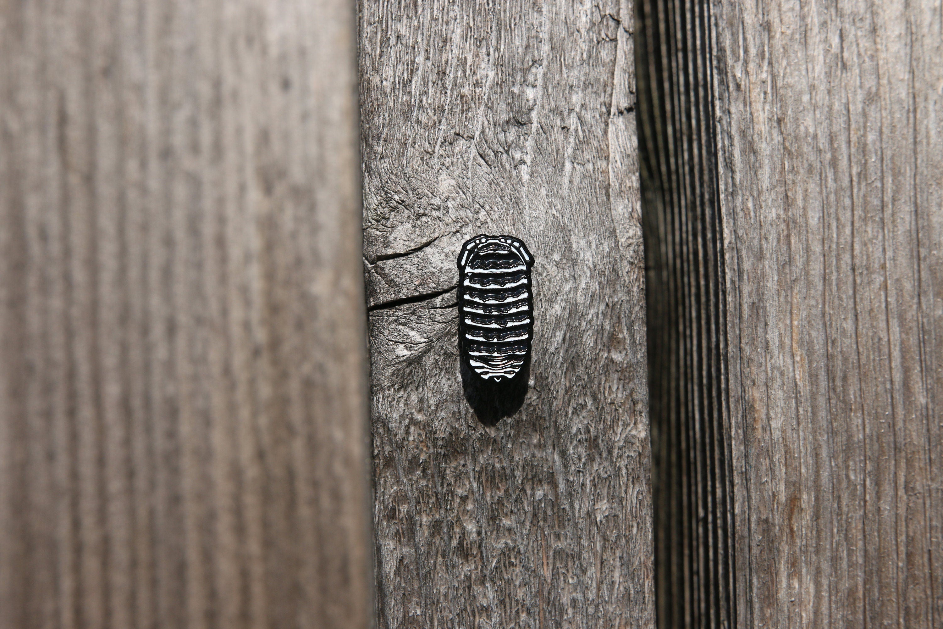 Zebra Isopod Roly Poly Soft and Hard Enamel Lapel Pins