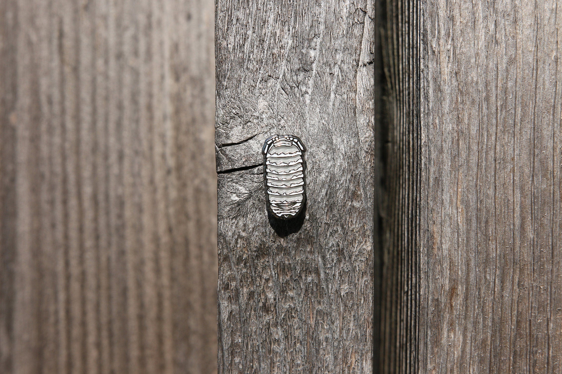 Zebra Isopod Roly Poly Soft and Hard Enamel Lapel Pins