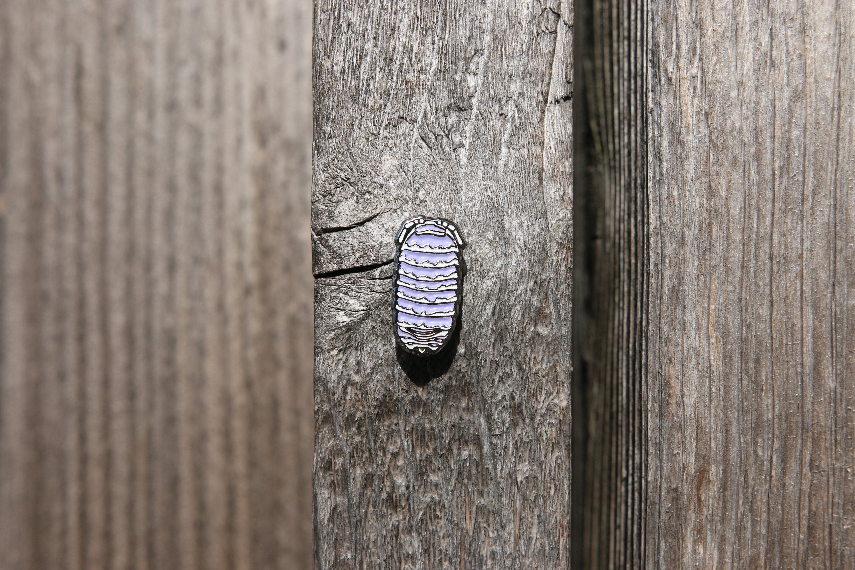 Zebra Isopod Roly Poly Soft and Hard Enamel Lapel Pins