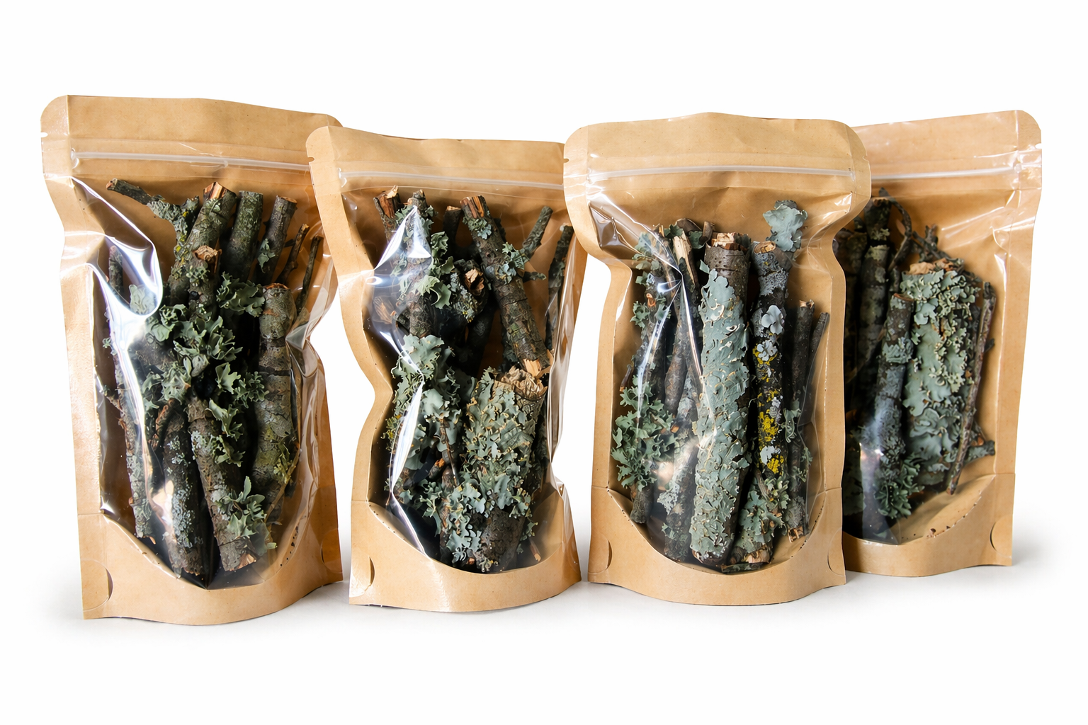 Live Lichen on Dried Twigs and Small Sticks