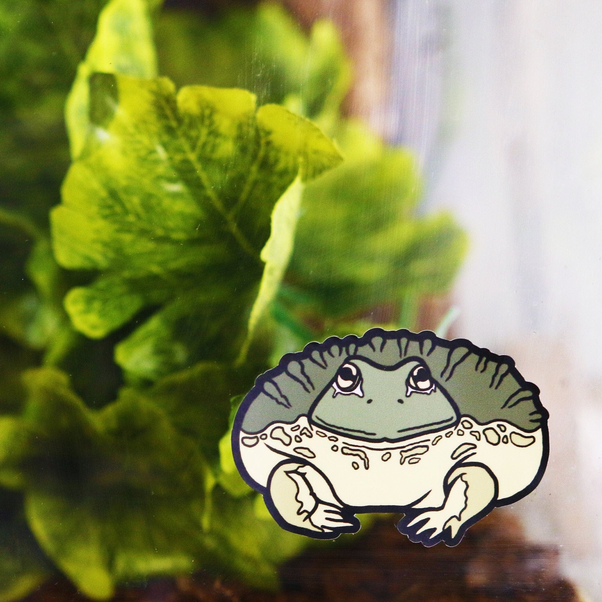 Pixie Frog (African Bull Frog) Sticker
