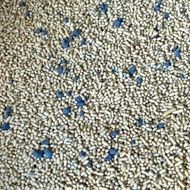 Homemade Blue Organic Springtail Food