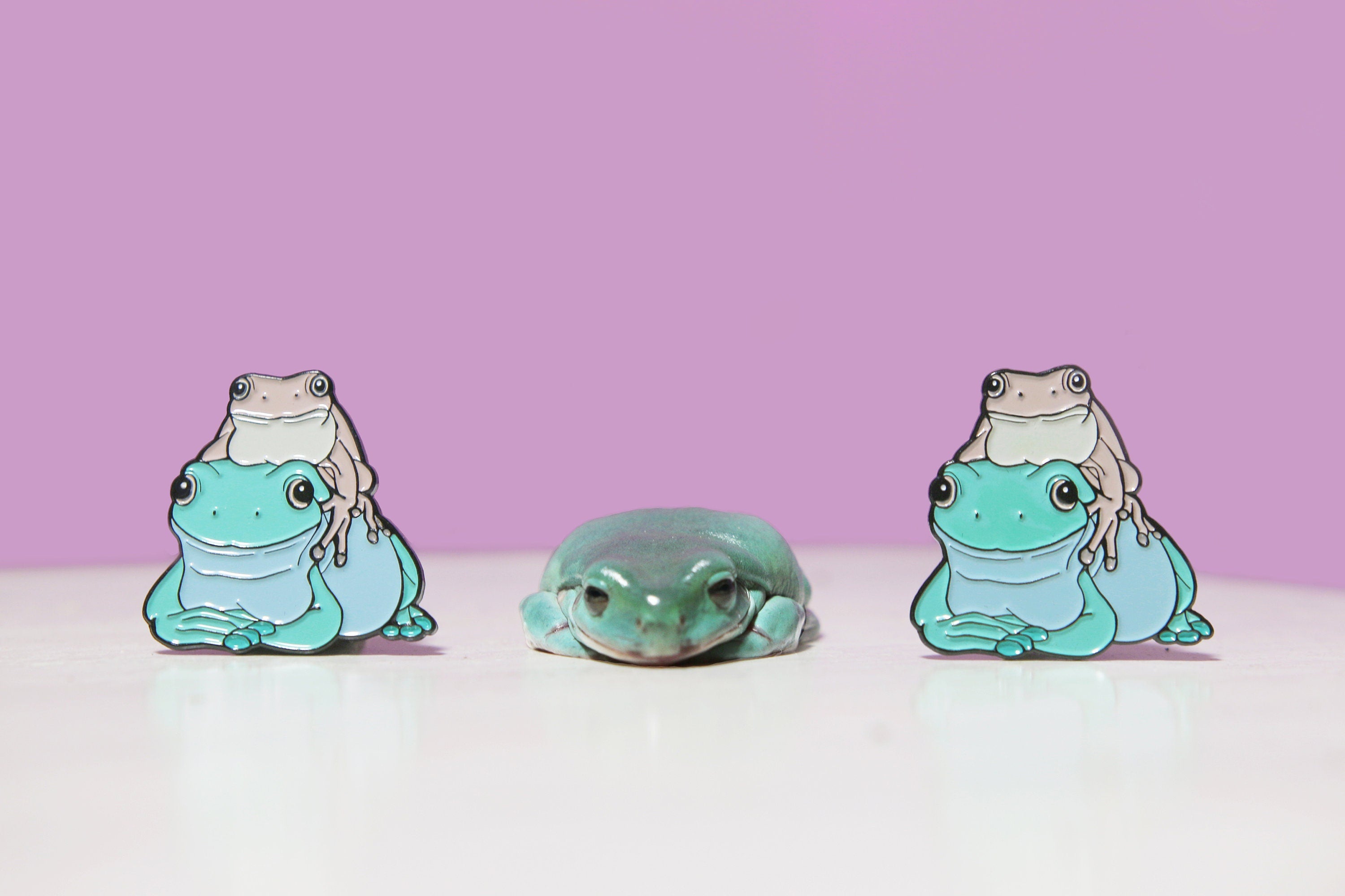 White's Tree Frog Dumpy Tree Frog Friendship Enamel Lapel Pin