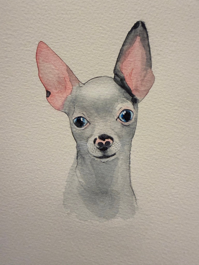 Custom Pet Watercolor Portrait