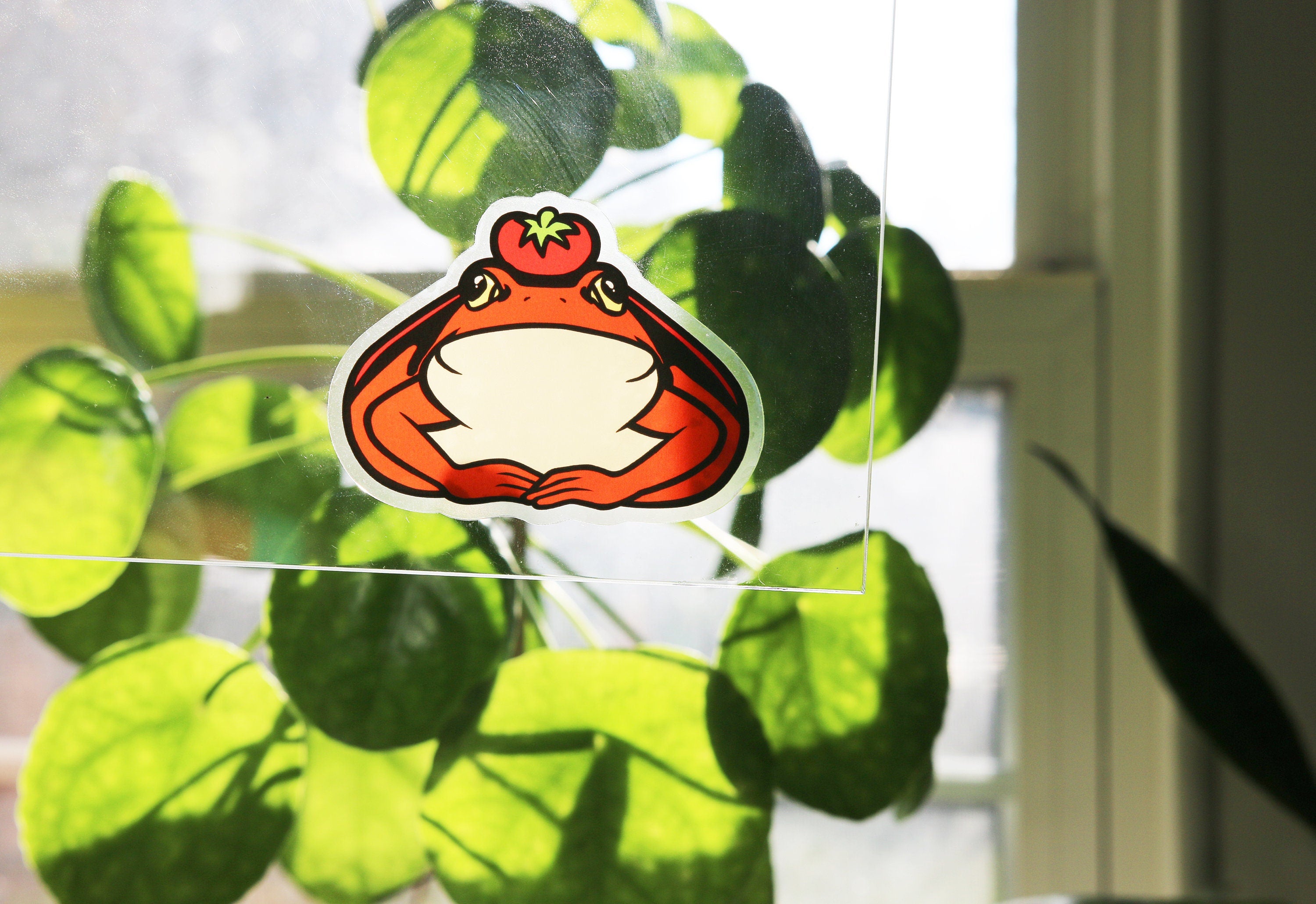 Tomato Frog Clear Sticker