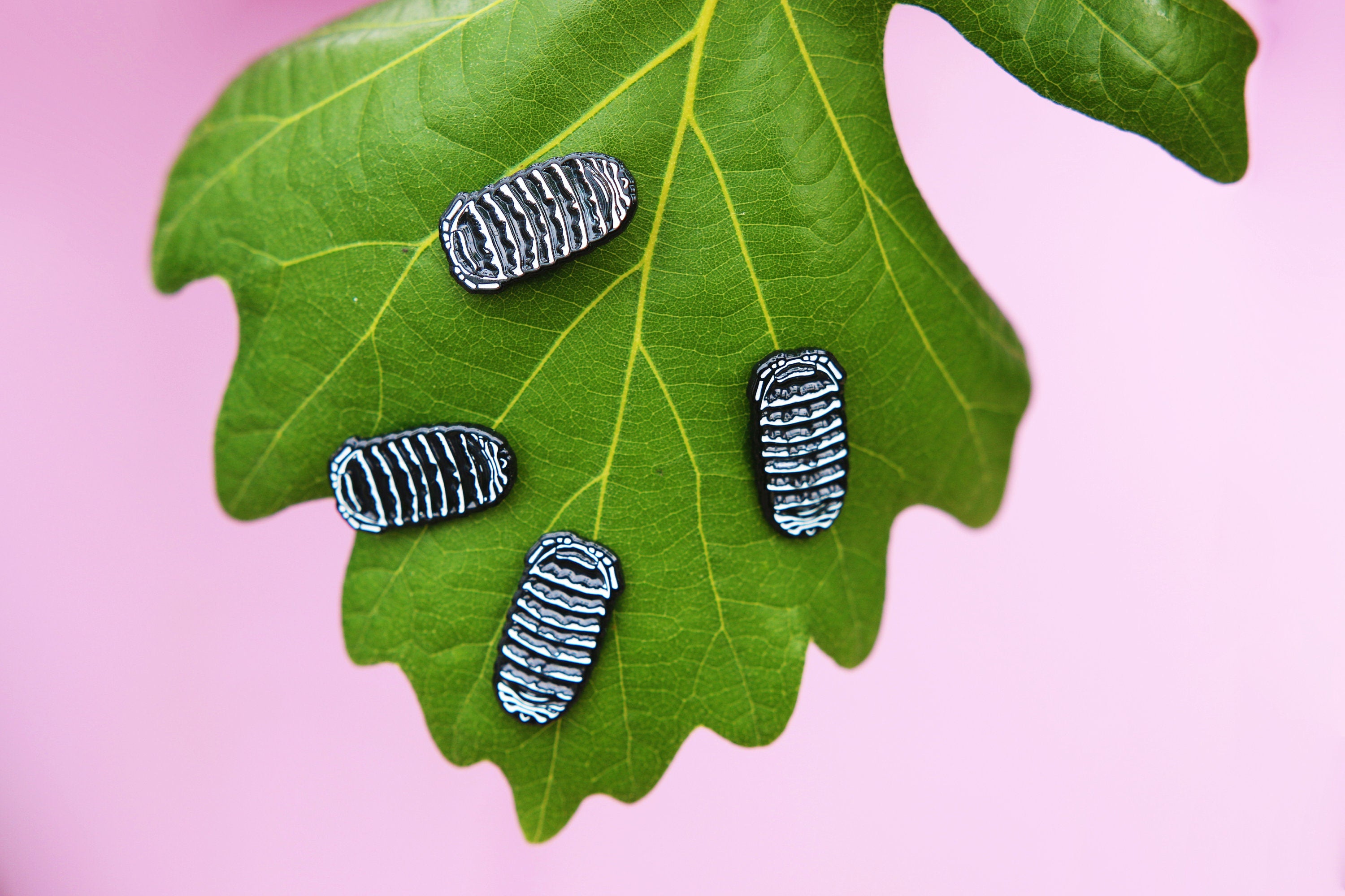 Zebra Isopod Roly Poly Soft and Hard Enamel Lapel Pins