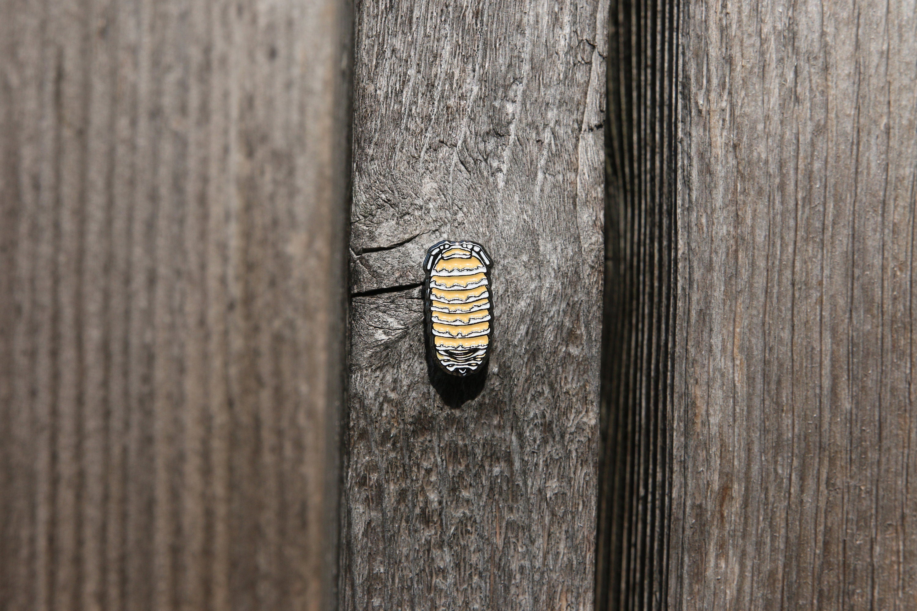 Zebra Isopod Roly Poly Soft and Hard Enamel Lapel Pins